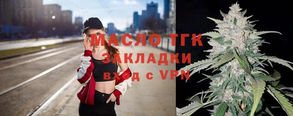 гидра Пестово
