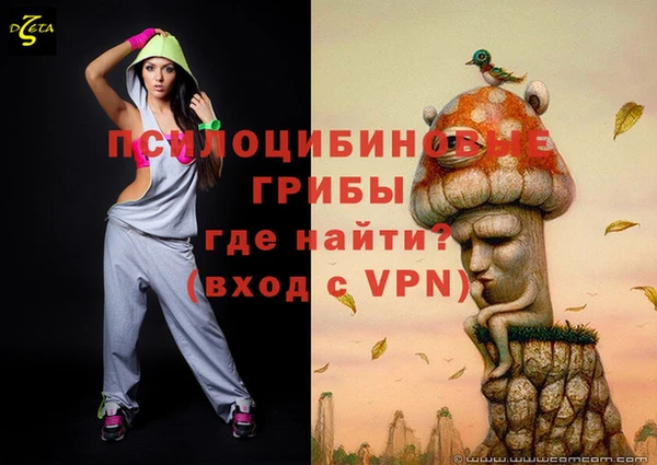 мдпв Пересвет