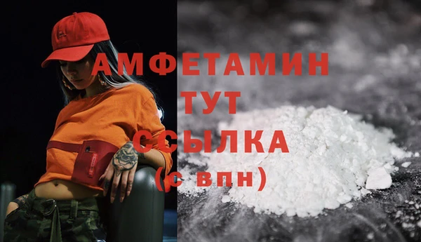 амф Переславль-Залесский