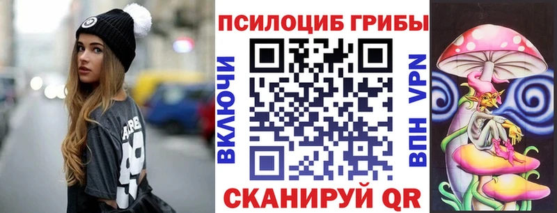 даркнет состав  Губаха  Галлюциногенные грибы Magic Shrooms  OMG ССЫЛКА 