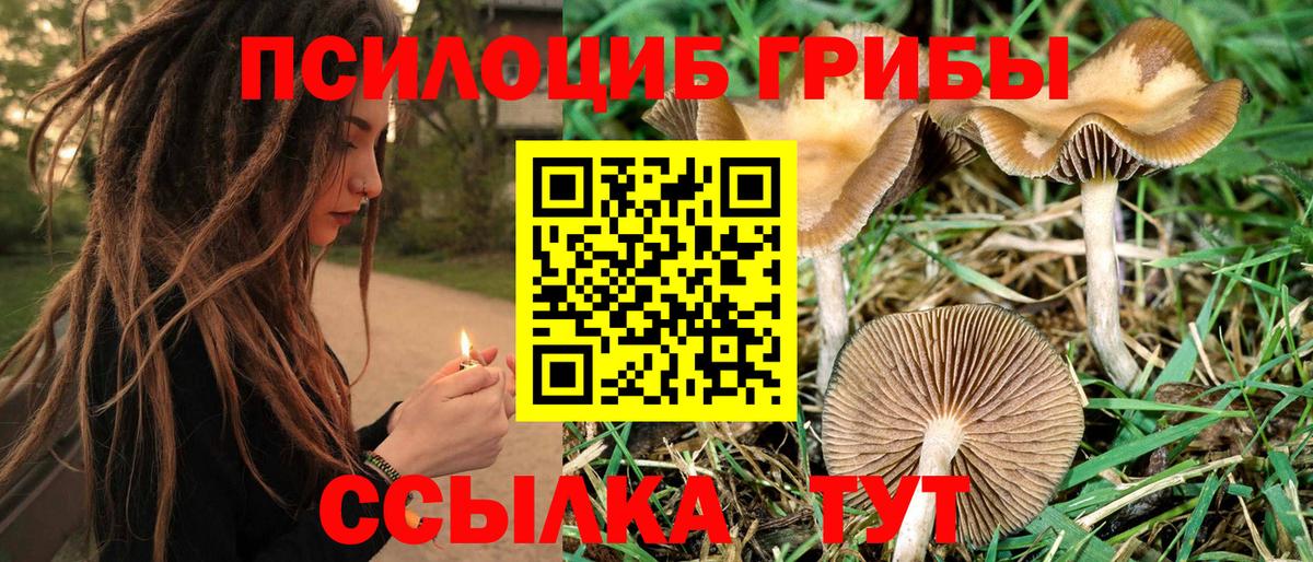 Псилоцибиновые грибы мухоморы Губаха