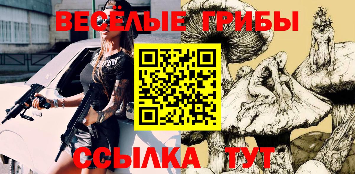 Псилоцибиновые грибы прущие грибы Губаха