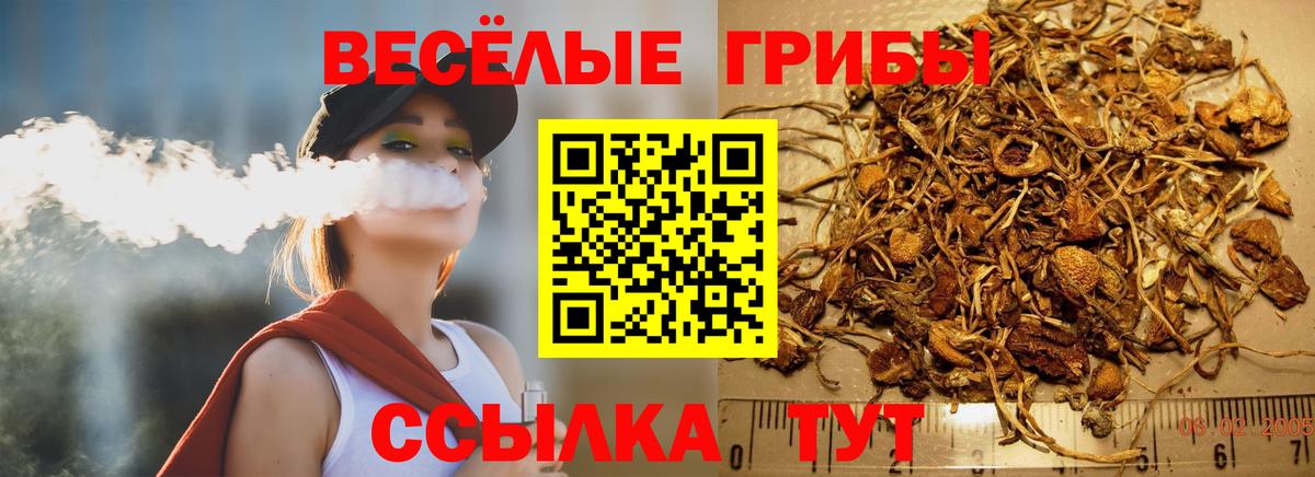 Alpha-PVP  Канабис  Ешки  Губаха  МЕФ  Вход с VPN  Гашик  Ляпка  Меф 