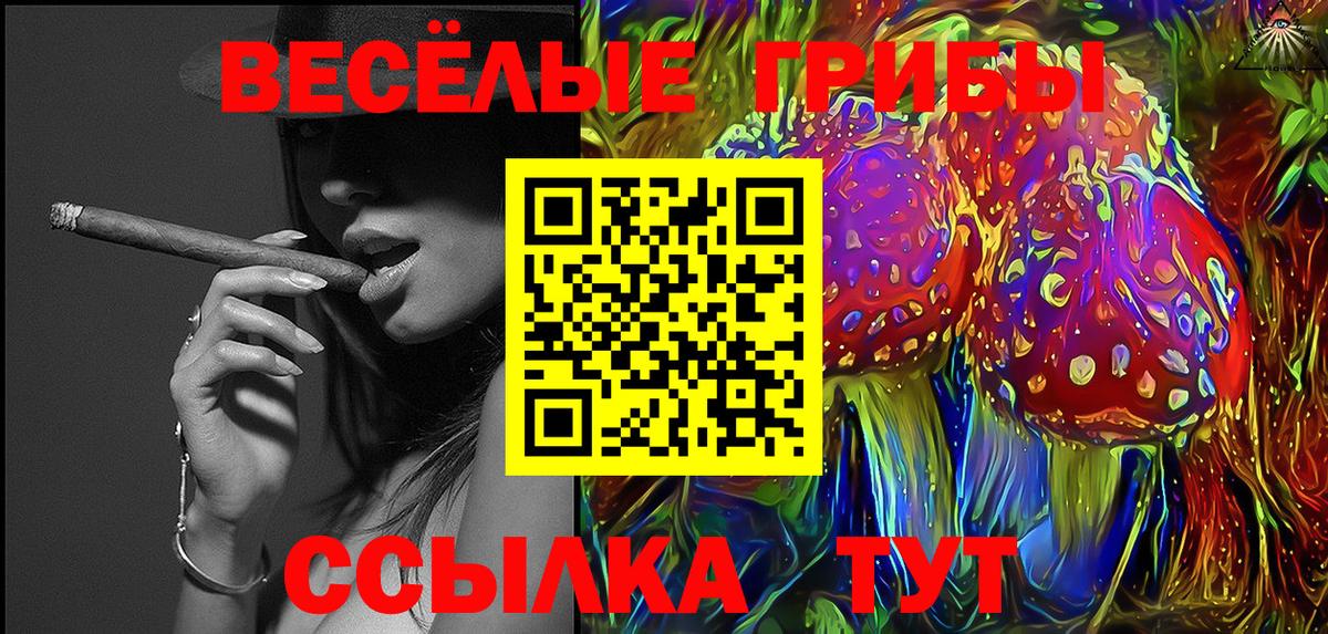 Псилоцибиновые грибы Psilocybine cubensis  Вход с VPN  Губаха 
